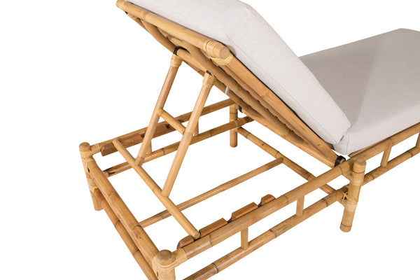 Solstolar CANE Rotting Natur