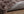Rectangular rug GRACE Polyester 230x160cm-Brown