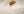 Kuddfodral ADA Polyester 30x50cm-Brun