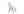 Matstolar VELVET DELUXE Sammet 88.5x50x66cm Beige-2st