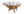 Soffbord AMAZONAS Teak Ø110x50 Natur