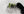 Teller SHINE ⌀21 2er-Pack Klar