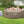 LAY-Z Spa Palm Springs Bestway AirJet Uppblåsbar Jacuzzi 4-6 Personer