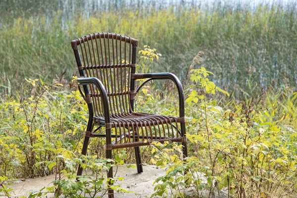 GALERA Esszimmerstühle Rattan Braun