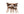 Café Set ABRANTES Aluminium Brun