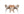 Matgrupp KENYA & LINDOS Matbord 120x70x75 Natur + Matstolar 4st Brun