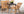 Matgrupp KENYA & TOGO Matstolar 4st Natur + Matbord 150x90 Svart