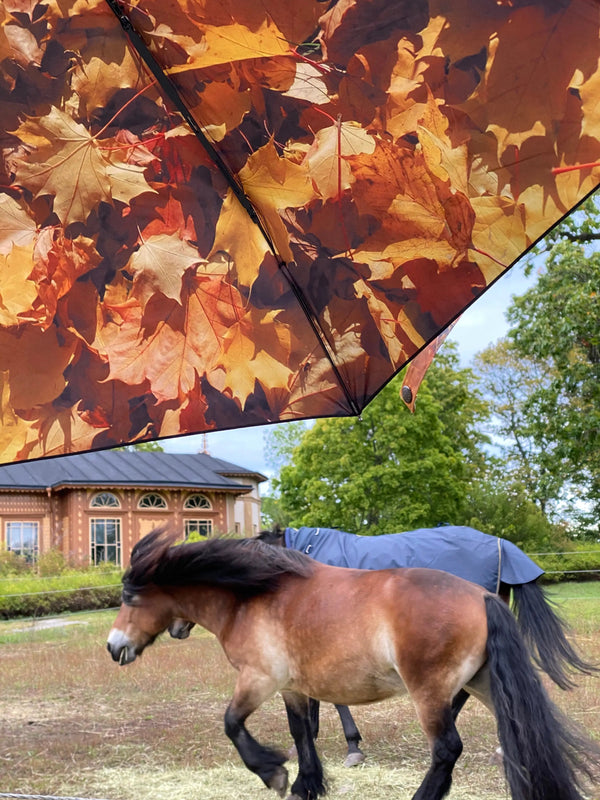 Höst Umbrella –  UPF50+