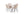 Matgrupp HAMDEN Matbord ⌀80 & 4st LIMHAMN Matstolar Beige
