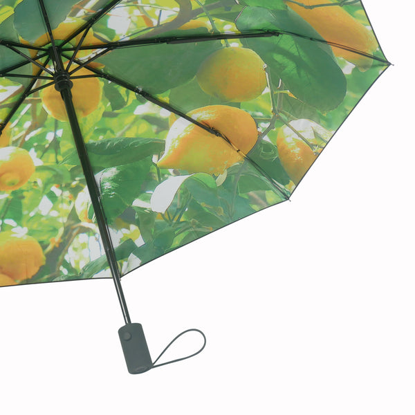 Lemon Umbrella –  UPF50+