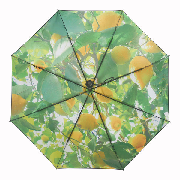 Lemon Umbrella –  UPF50+