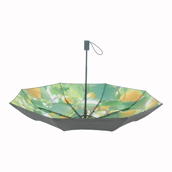Lemon Umbrella –  UPF50+