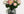 Konstgjorda Blommor - Bukett M - Pastell Lover - 40 cm