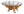 Soffbord AMAZONAS Teak Ø110x50 Natur